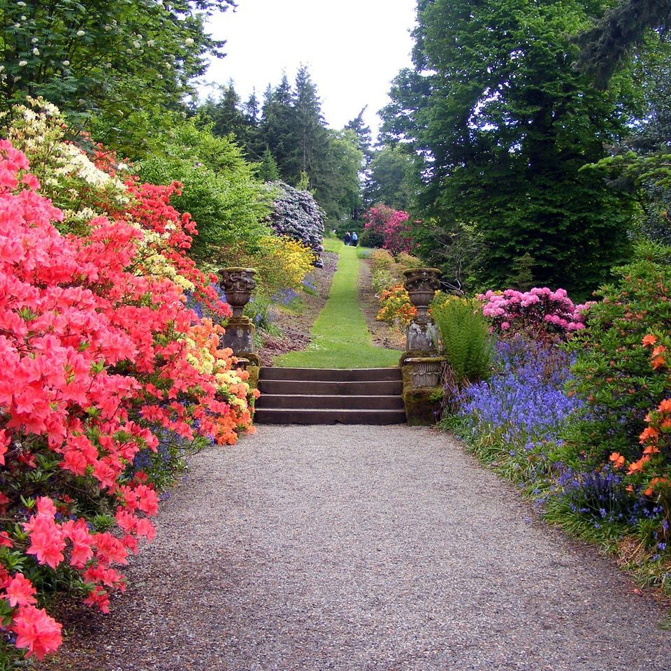garden gea6ffd67b 1920